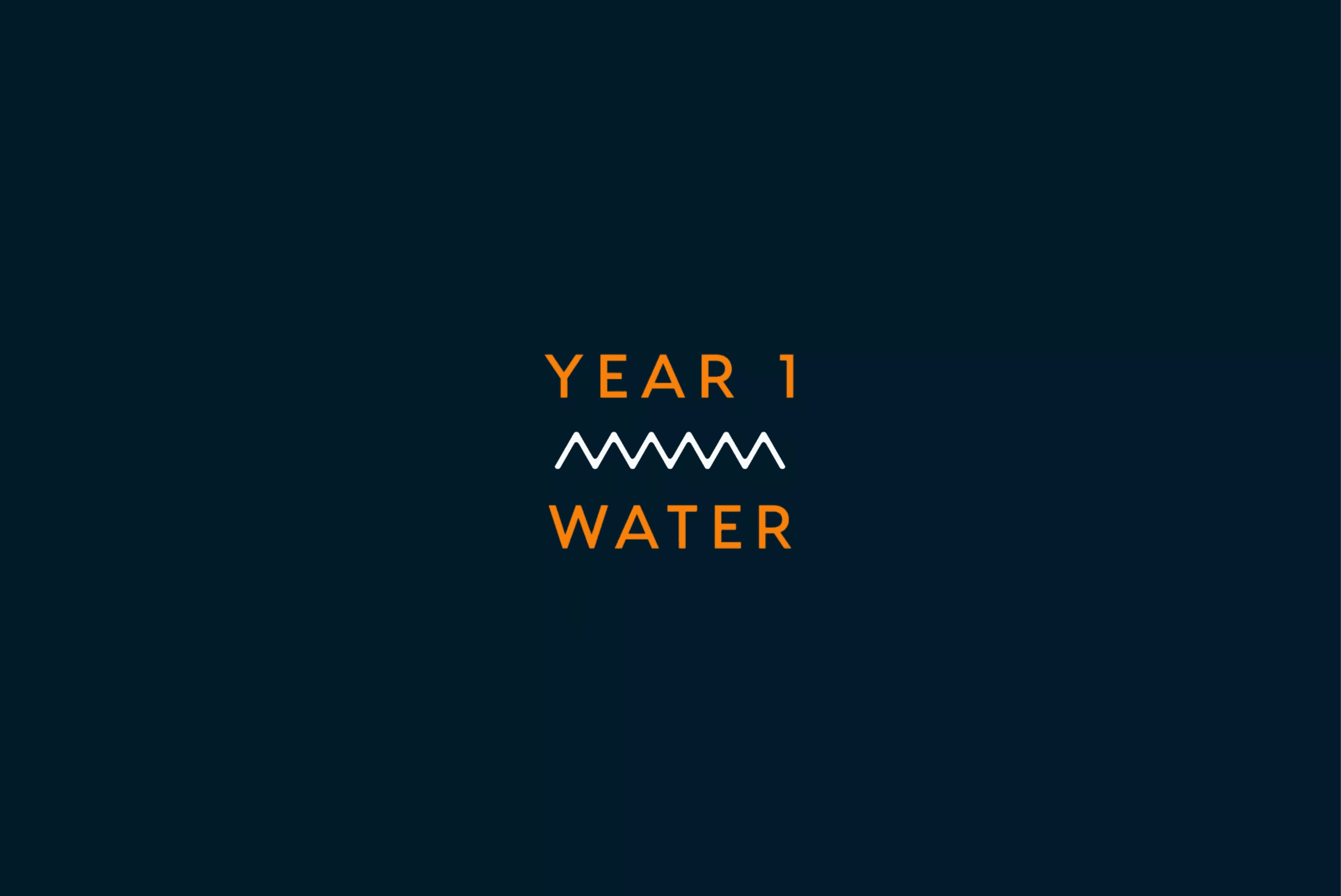 Fyre Festival pitch deck, Year 1: Water