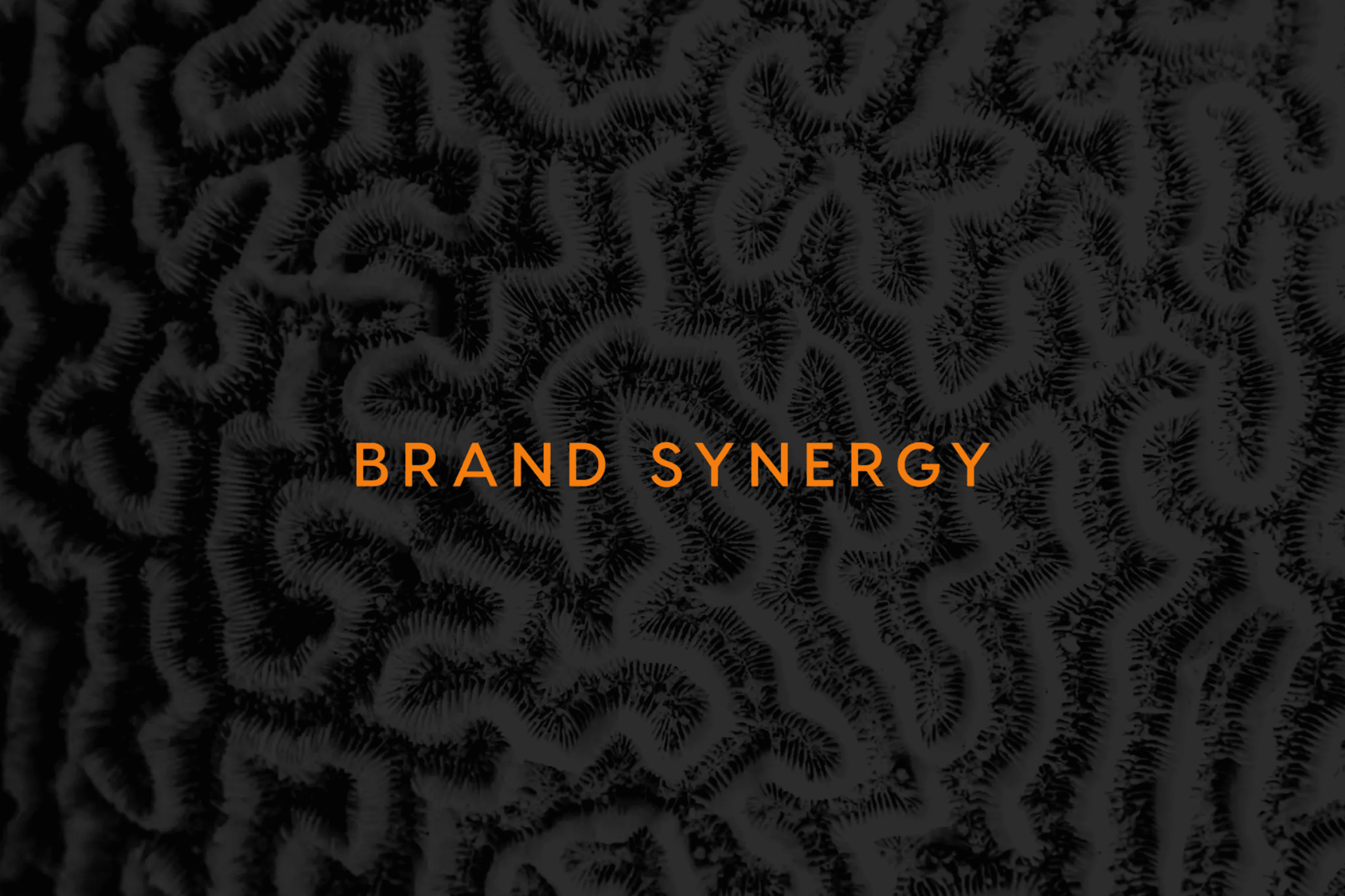 Fyre Festival pitch deck, Brand synergy